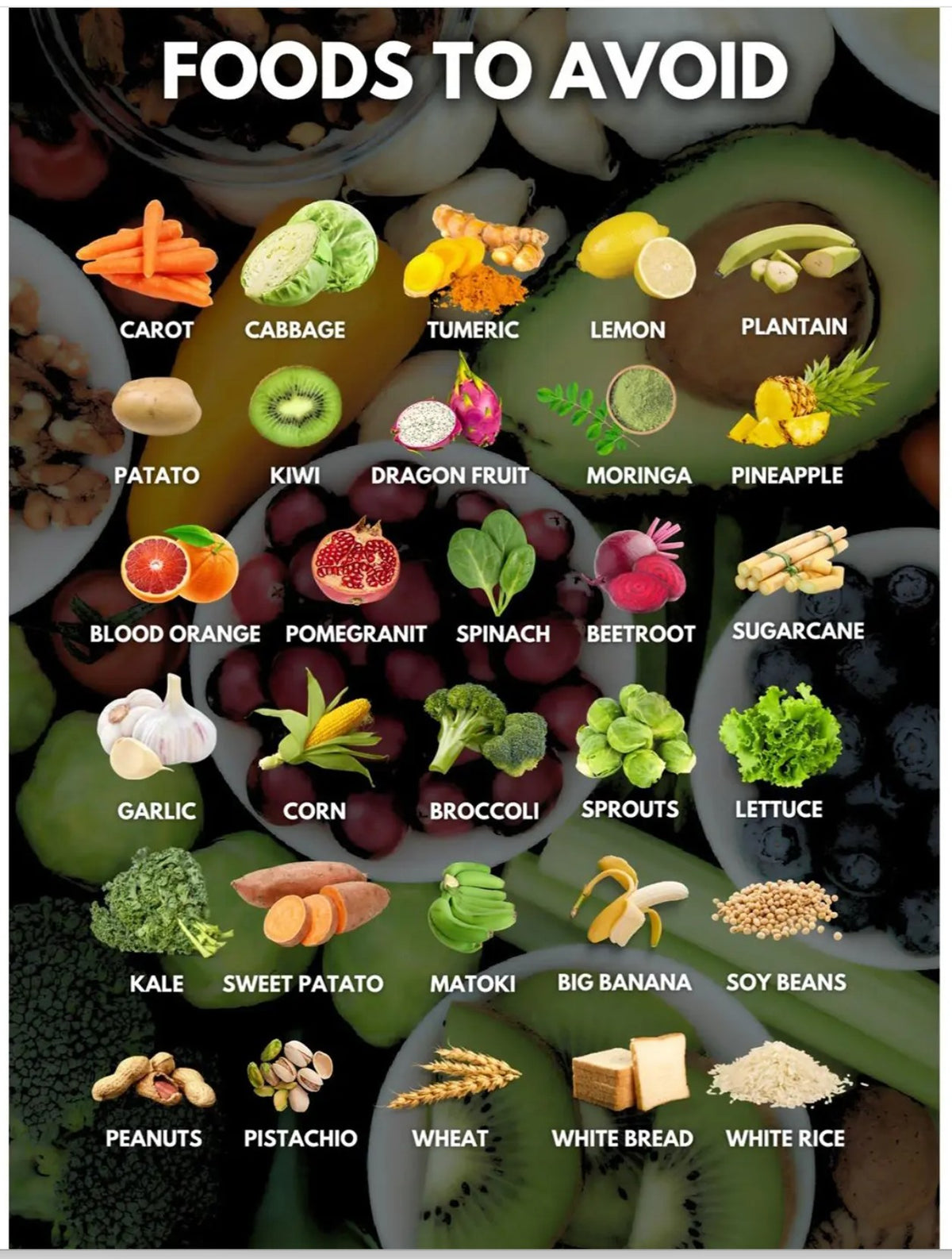Human Health Guide: A Practical Guide to Natural Wellness, Self-Care & Healthy Living